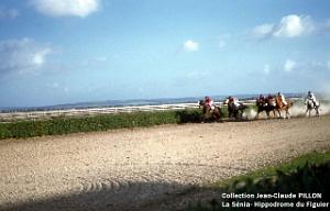 LA SENIA COURSES CHEVAUX4